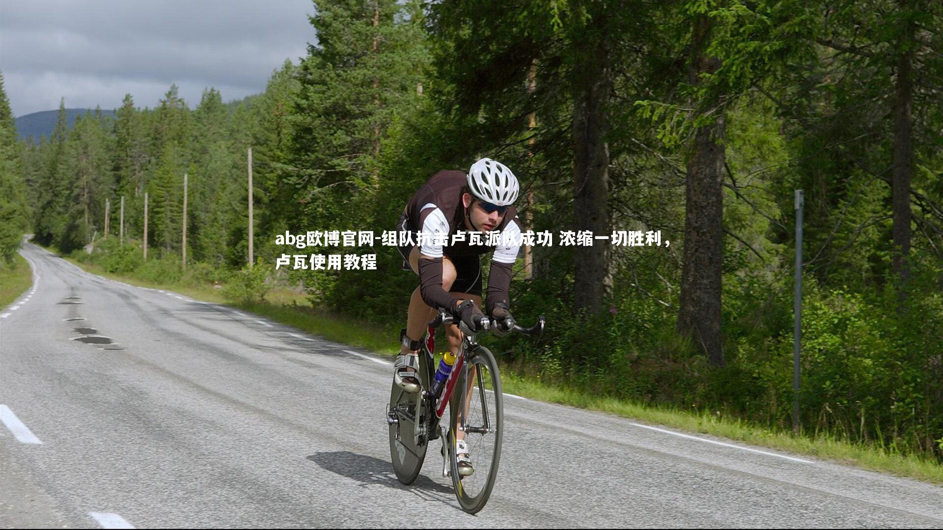 abg欧博官网-组队抗击卢瓦派队成功 浓缩一切胜利，卢瓦使用教程