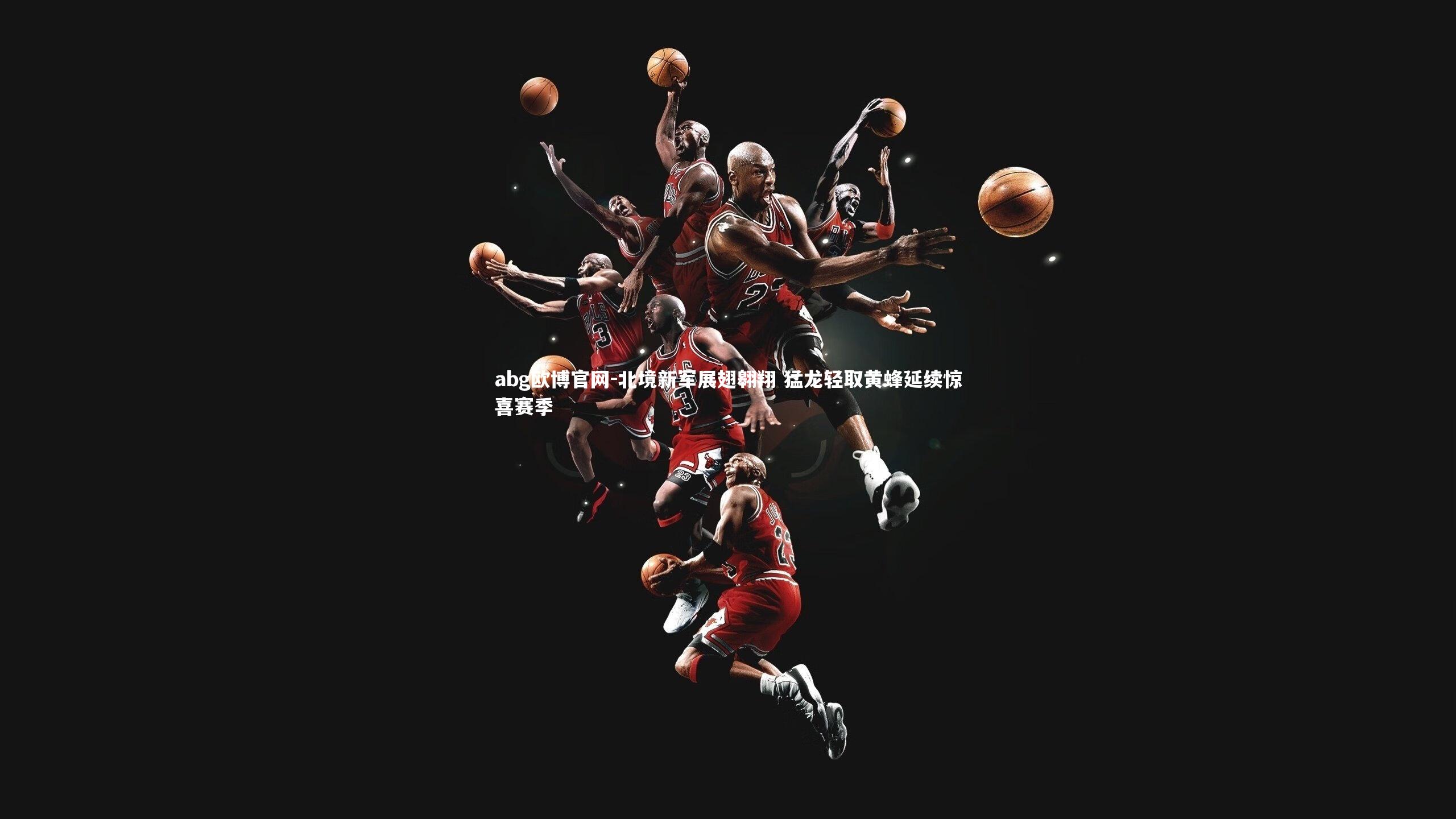 abg欧博官网-北境新军展翅翱翔 猛龙轻取黄蜂延续惊喜赛季