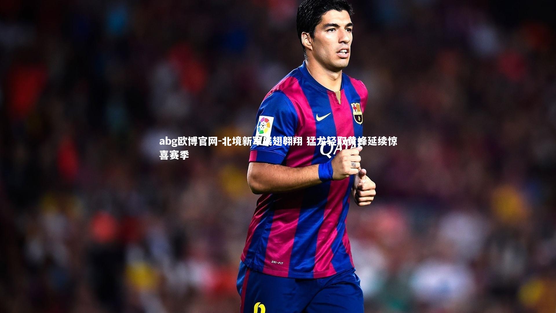 北境新军展翅翱翔 猛龙轻取黄蜂延续惊喜赛季